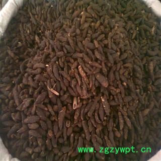 统香附 产地安徽省亳州市谯城区 13元/公斤 库存300公斤 可售图2