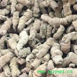 巴戟肉 巴戟肉二级个0.6 产地 广东省佛山市市辖区图2