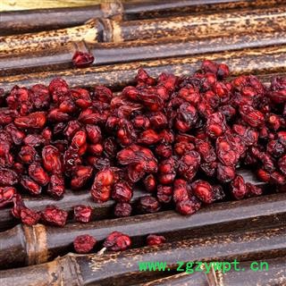 中药材批发 北五味 五味子新货 辽五味子 辽五味  五味子 统 产地 辽宁省抚顺市市辖区图2