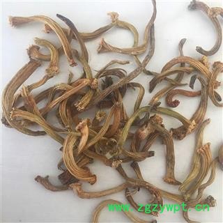 甜瓜蒂 苦丁香 甜瓜蒂 瓜蒂  统 产地 安徽省亳州市谯城区图3