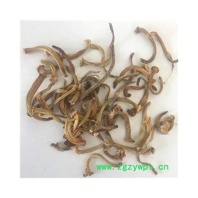 甜瓜蒂 苦丁香 甜瓜蒂 瓜蒂  统 产地 安徽省亳州市谯城区