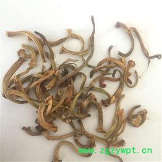 甜瓜蒂 苦丁香 甜瓜蒂 瓜蒂  统 产地 安徽省亳州市谯城区图2