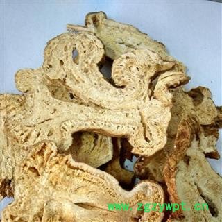 白术 精选 白术 大片 手捡装箱好片 关书药业 产地 安徽省亳州市亳州药市图2