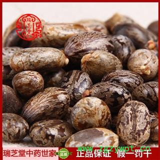 蓖麻子统货 吉林蓖麻子 药典正品 中药材 瑞芝堂产地直供1000克 规格齐全 一站购齐图3