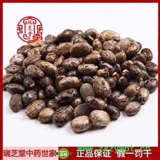 蓖麻子统货 吉林蓖麻子 药典正品 中药材 瑞芝堂产地直供1000克 规格齐全 一站购齐图2
