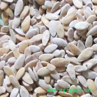 甜瓜子 甜瓜子香瓜子净货 产地 河北省图2