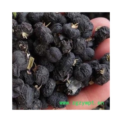 中药材黑枸杞 宁夏黑枸杞 黑枸杞中粒 批发正品黑枸杞 产地青海