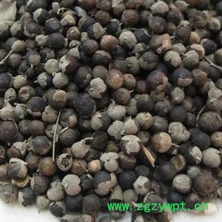 蔓荆子 云南产蔓荆子净货 蔓荆实 荆子 蔓青子品种齐全 产地云南安国市场批发零售大全图2