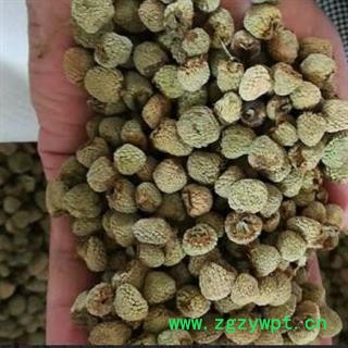 中药材覆盆子 复盆子、绒毛悬钩子、覆盆莓、乌藨子、小托盘 产地浙江 安国中药材市场批发零售大全图2