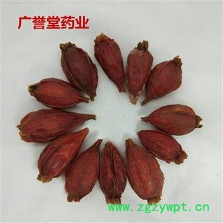 栀子 福建小栀子统 今年新货 颜色红 无虫蛀无霉变 主流统货 假一赔十 产地 福建省图4