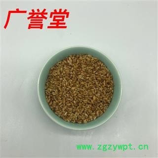 柏子仁 统 产地 山东省图3