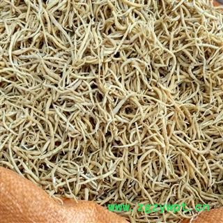 太子参 太子参小统 产地 福建省福州市图3