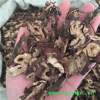 升麻 正品 无硫 纯净货 产地 河北省保定市图2