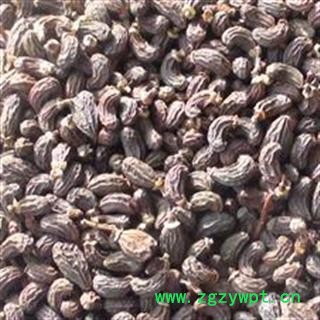 《满198包邮》女贞子 女贞子腰果净货 产地 河北省图2