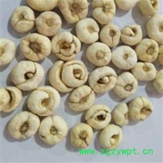 平贝母 平贝母中选货 0.8左右 无烂瓣 产地 吉林省辽源市图2