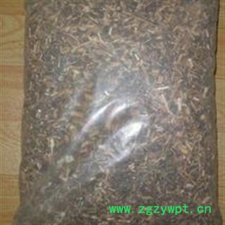 龙葵子 统 产地 云南省楚雄彝族自治州楚雄市图3
