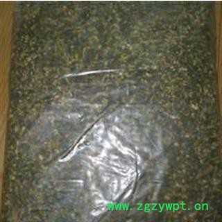 龙葵子 统 产地 云南省楚雄彝族自治州楚雄市图2