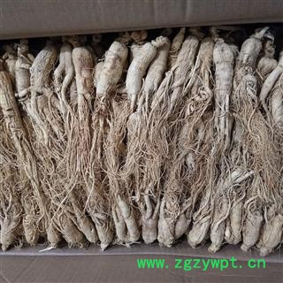 人参 生晒参38支 无硫精品盒装 g 产地 吉林省长春市图2