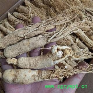 人参 生晒参38支 无硫精品盒装 g 产地 吉林省长春市图3