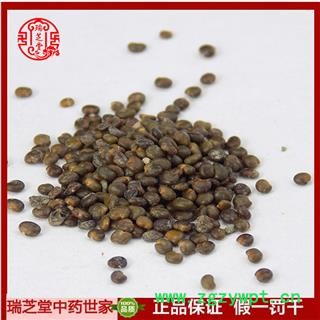 沙苑子统货 沙菀子 中药材沙苑子 瑞芝堂产地直销1000克规格齐全 一站购齐图2