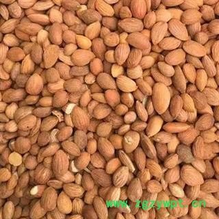 中药材桃仁 去皮桃仁 桃仁 带皮桃仁多种规格 本品为无硫新货 干净不添加 干净卫生 道地药材 品质有保证 安国中药材批发零售大全图4