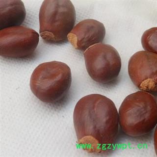 荔枝核统货 产地广东省 无硫新货安国市场批发零售大全图2