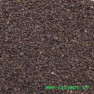 苘麻子 茼麻子统货 产地 河北省图2