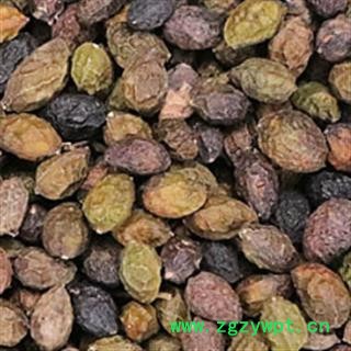 鸦胆子 鸦胆子选货 产地 广西壮族自治区图2