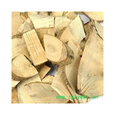 毛冬青 毛冬青统片 产地 云南省