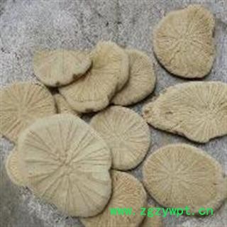 粉防己 新货 去皮 颜色好 纯干 产地 广西壮族自治区桂林市图3