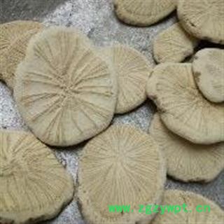 粉防己 新货 去皮 颜色好 纯干 产地 广西壮族自治区桂林市图2