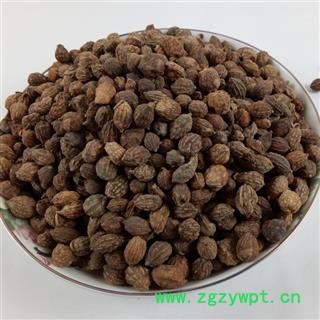 益智仁 益智统货 产地 广西壮族自治区图2