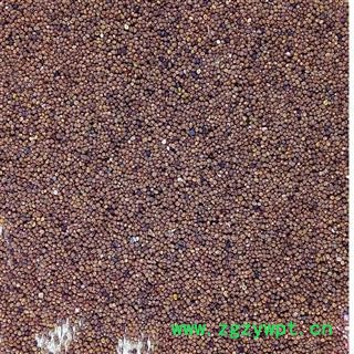 菟丝子 菟丝子水洗统货 产地 内蒙古自治区图2