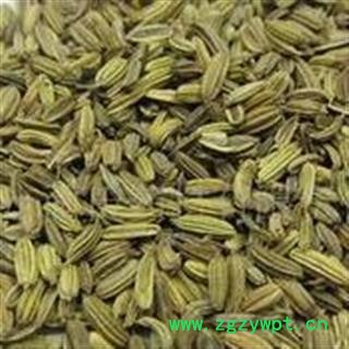 《满198包邮》小茴香 小茴香净货 产地 广西壮族自治区图2