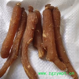 红参个 新货  红参低糖40支    产地 吉林省通化市通化县图3