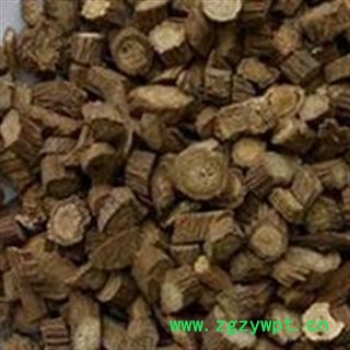 牛蒡根 牛蒡根选货 牛蒡子根 黄金牛蒡根 质量好 产地 甘肃省天水市图3