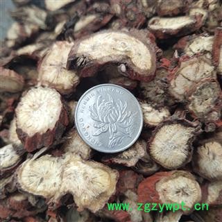 丹参 丹参 山东紫丹参片 无硫货 过个0.2筛 产地 山东省临沂市市辖区图4