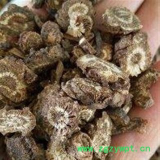 羌活 川羌活   过筛 无杂质 新货 产地 四川省绵阳市图2