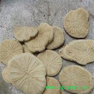 粉防己 防己 选 无硫 产地 山西省长治市图3