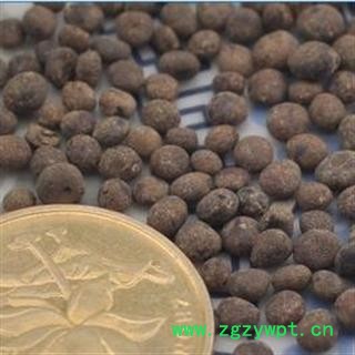 急性子 统 产地 安徽省亳州市谯城区图3