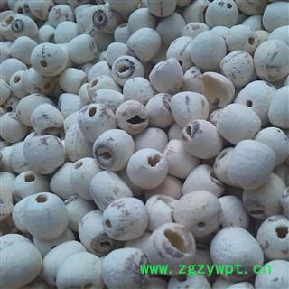 莲子 优 产地 湖南省湘潭市市辖区图3