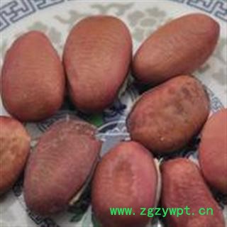 刀豆子 统 产地 广西壮族自治区玉林市市辖区图2