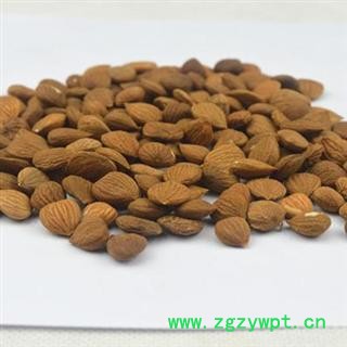 苦杏仁 统 产地 山西省 库存 1000图3