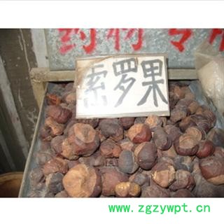 娑罗子 统 产地 江苏省南通市市辖区图2