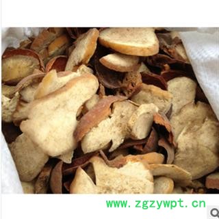 娑罗子 统 产地 江苏省南通市市辖区图3