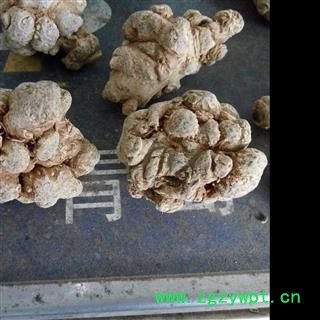 三七 三七20头 水洗 纯干 可加工细粉  产地 云南省昆明市图2