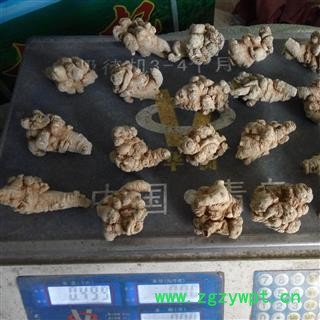 三七 三七20头 水洗 纯干 可加工细粉  产地 云南省昆明市图3