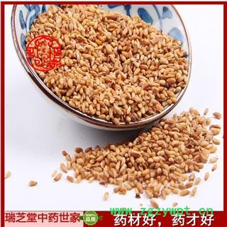 柏子仁 柏子仁选货 药典正品 中药材 瑞芝堂产地直供1000克 规格齐全 一站购齐图2