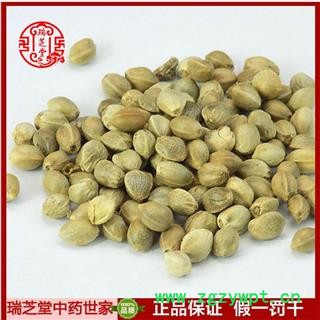 火麻仁大粒  中药材火麻子仁  瑞芝堂产地直销1000g药典正品 规格齐全 一站购齐图3