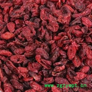 山茱萸别名山萸肉、肉枣、鸡足、萸肉、药枣、天木籽、实枣儿 产地河南 品种齐全 安国中药材市场批发零售图2